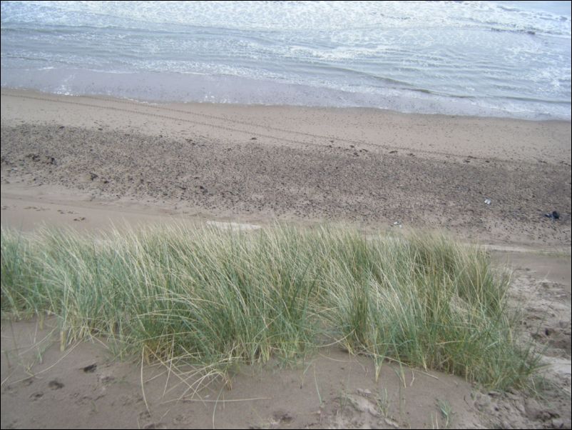 Pictures Weekend Away 467